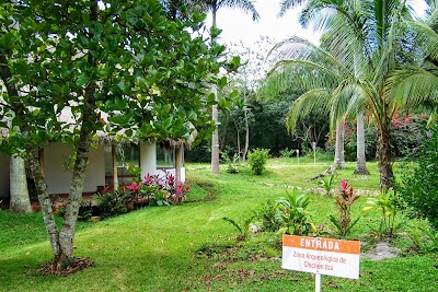 Photos of Old Airport of Chichen Itza (1923 to mid 1990s)