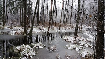 Photos of ZACKAGIRIO (DZIACKAGIRIO) PAŽINTINIS TAKAS