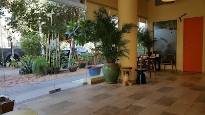 Photos of DKC Veterinary Clinic
