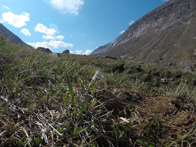 Parc national des Monts-Torngat