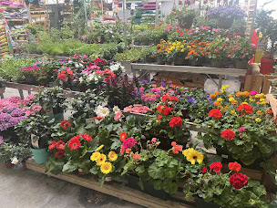 Photo n°17 de Bricomarché Aiguillon à Aiguillon (Magasin de poêles à bois)