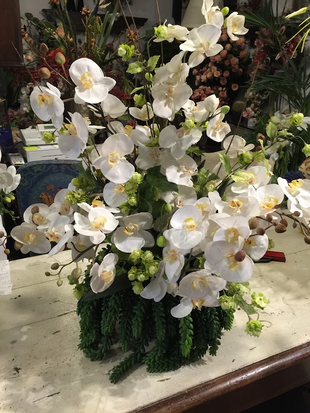 Suzuki Art Decoration