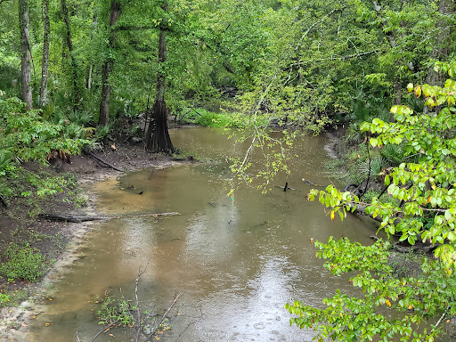 Thistlethwaite State Wildlife Management Area - Thumbnail