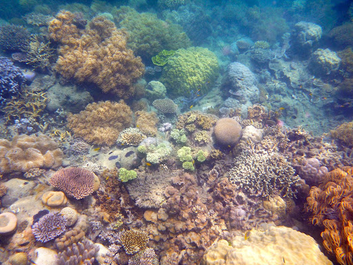 Port Douglas Camera Hire - Thumbnail