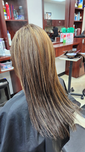 M3 Salon - Thumbnail