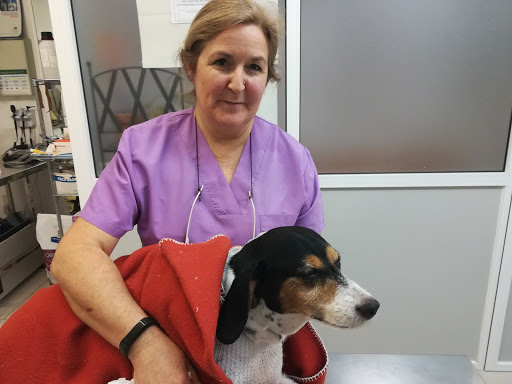 Clínica Veterinaria Gavear