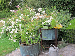 Photo n°3 de LE JARDIN DES TETARDS à Brouckerque (Jardin)