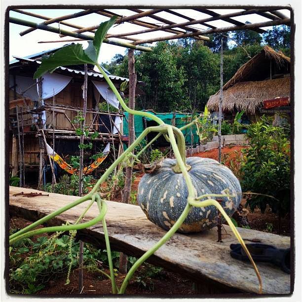 Spicy Villa Eco-Lodge