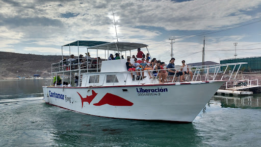 Espíritu Santo Tours