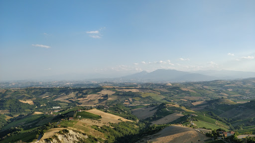 Vespasiani Gregorio - Visual
