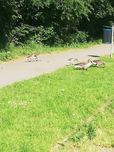 Parkplatz Sechs-Seen-Platte - Thumbnail