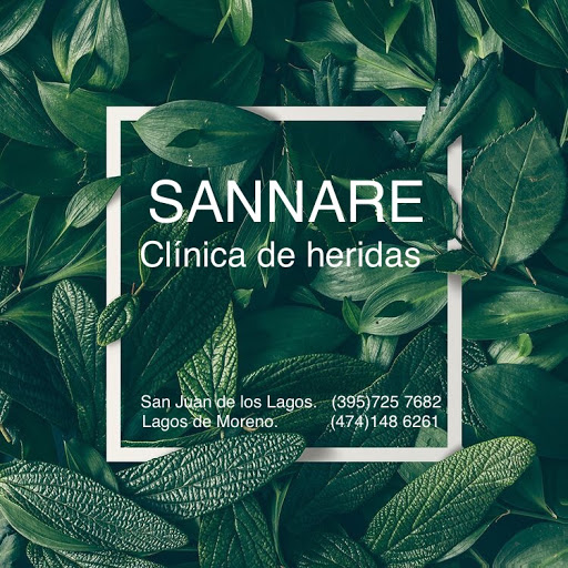 SANNARE - Visual