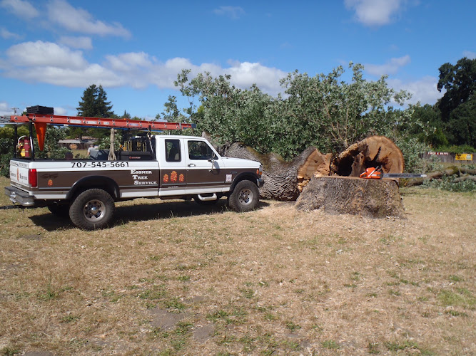 Essner Tree Service