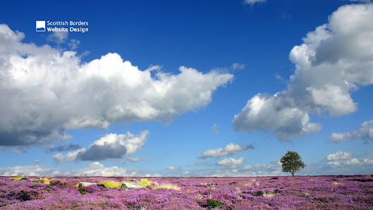 Scottish Borders Website Design 1 Cothill Steading, Gavinton, Duns TD10 6YW, United Kingdom