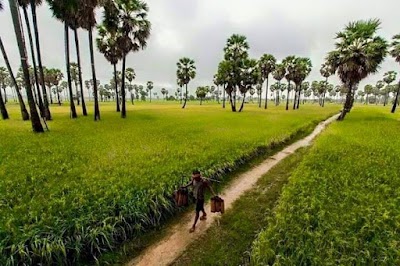 Photos of វត្ត តាំងធ្លក