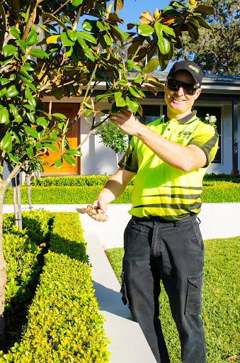 Fox Mowing & Gardening Maitland | Soft Landscaping and Gardening Maintenance #1 Lawn Services - Thumbnail