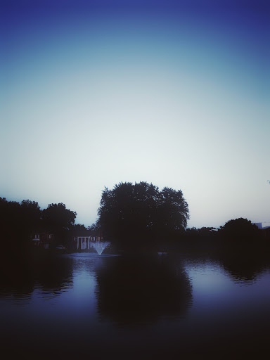 Colden Park - Visual