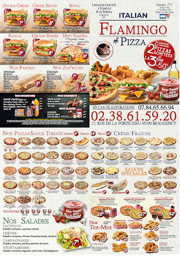 Photo 1 - Flamingo PIZZA 45