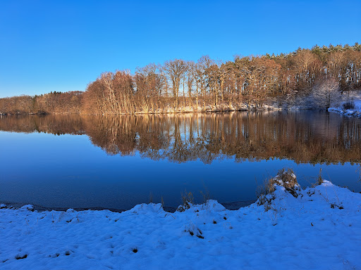 Amelinghausen