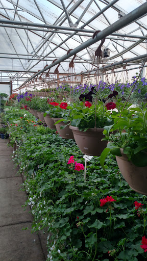 Prairie Petals Greenhouse - Thumbnail