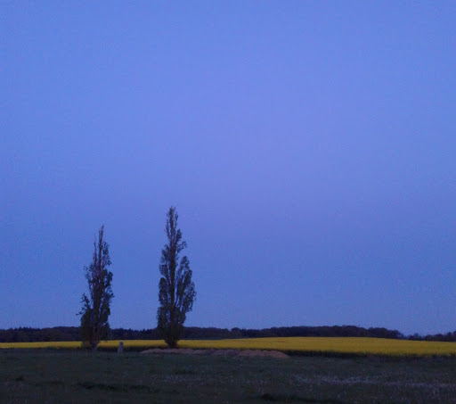 Photo de Beaumont-la-Ronce à Beaumont-la-Ronce (Unknown)