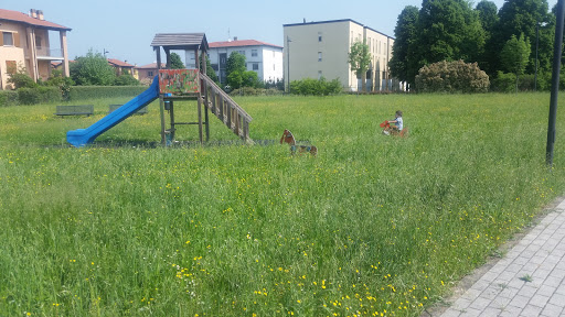 Campo TAV
