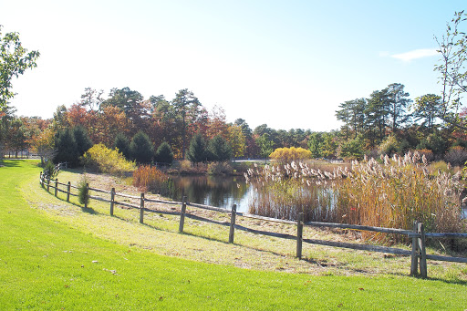 Freedom Fields County Park - United States