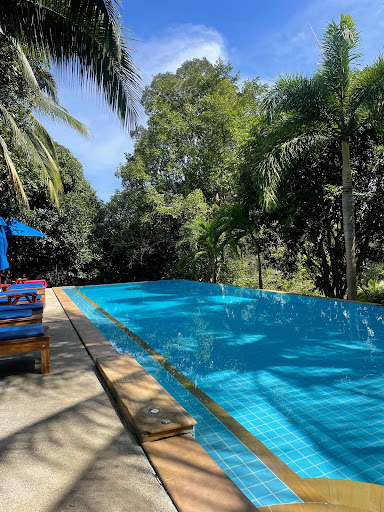 PawPaw Resort