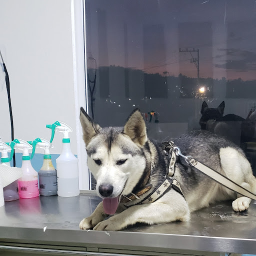 Centro Veterinario Santa Monica