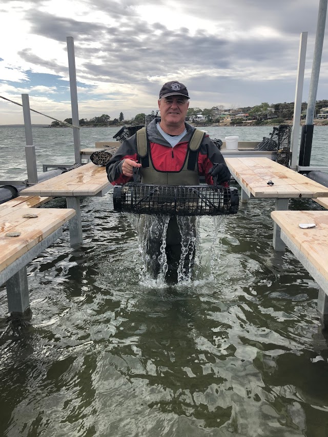 Oyster Farm Tours - Coffin Bay