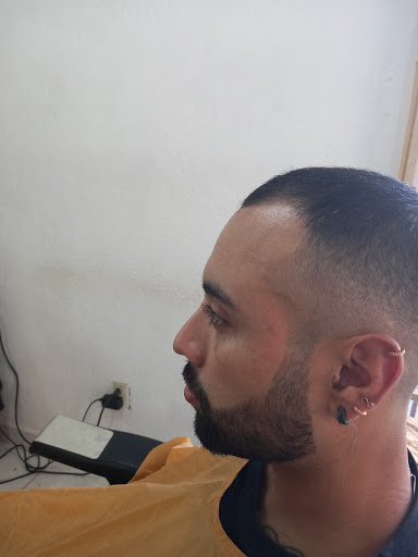 Barberia "totol" - Thumbnail