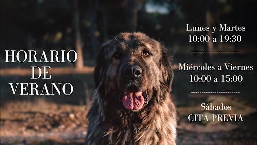 Clínica Veterinaria Kennel