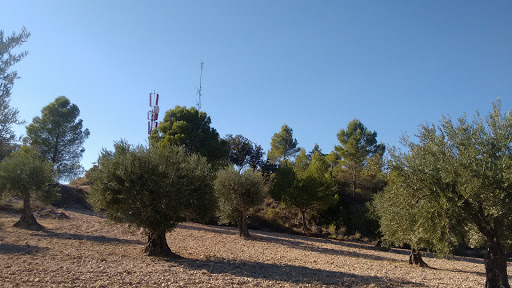 Parque Forestal El Pinar - Thumbnail