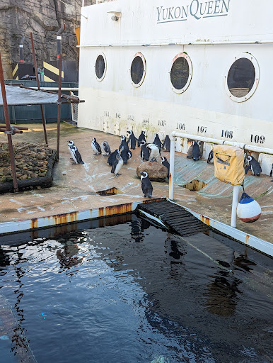 Pinguingehege - Visual