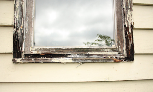 ARAX Windows Work - Visual