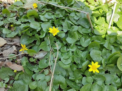 Crouse Run Nature Reserve