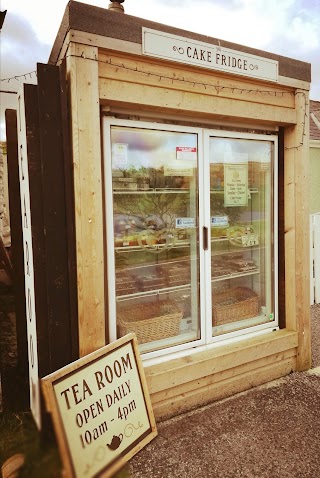 The Cake Fridge - Shetland
