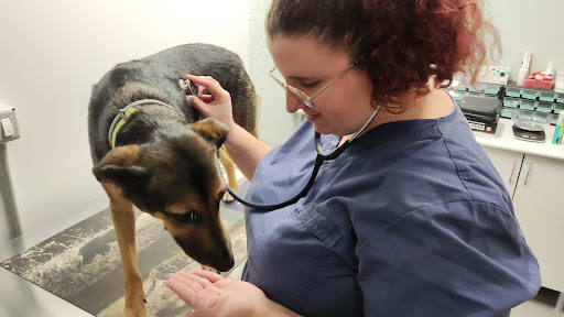 VETOVALLÈS VETERINÀRIA