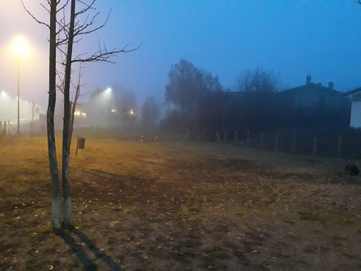 Parco per cani - Visual
