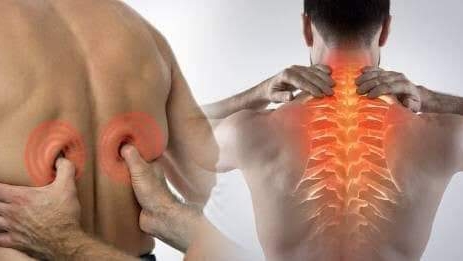 Huesero Vive Sin Dolor