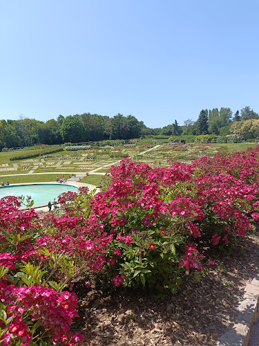 Parc de la Colline aux Oiseaux - Autre