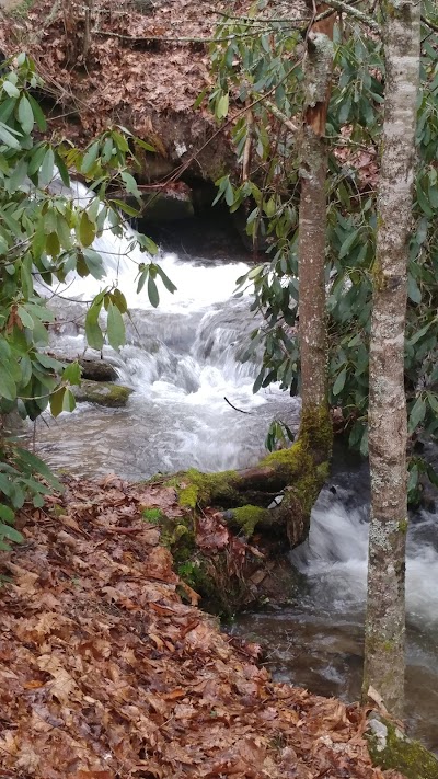 Panther Creek Cabins