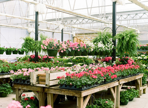 Abide A While Garden Boutique - Thumbnail