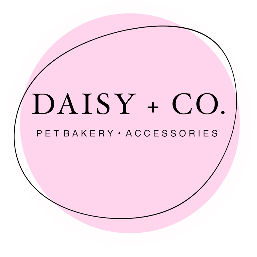 Daisy + Co. - Visual