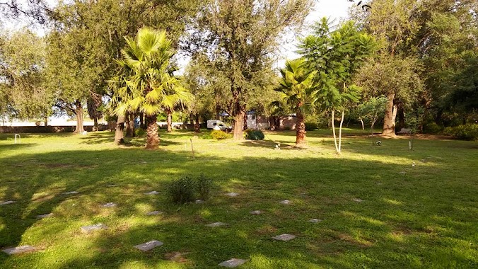 Friend Park, Author: Parque del Amigo