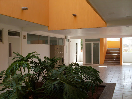 Colegio Termápolis - Visual