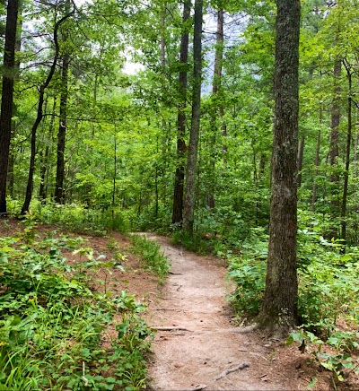 Cheaha Falls