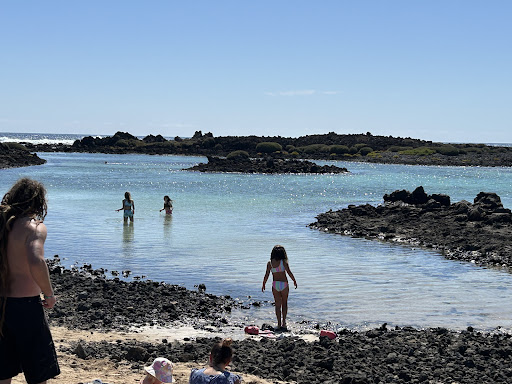 Dolphin tours Lanzarote - Thumbnail