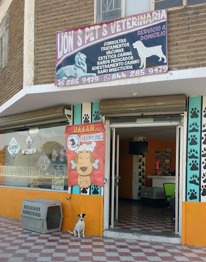 Lion's Pet Veterinaria - Thumbnail