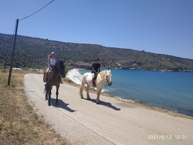 Comentarii opinii despre Mani Horses